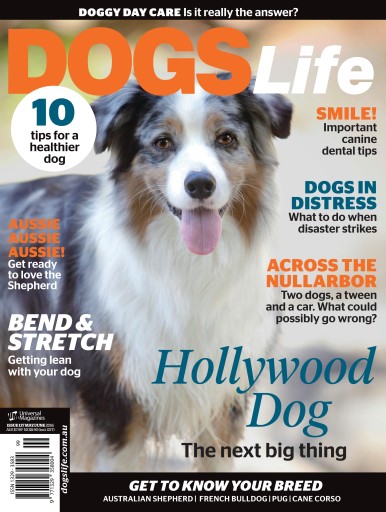 Dogs Life issue 