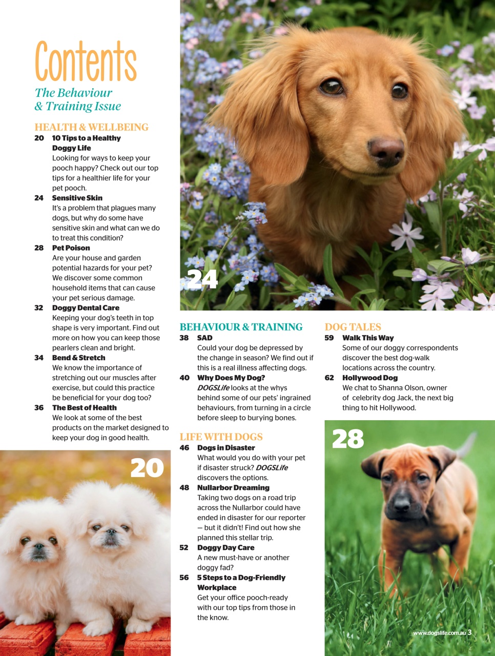 Dogs Life Preview Pages