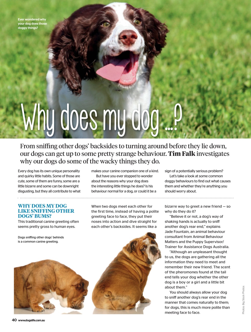 Dogs Life Preview Pages