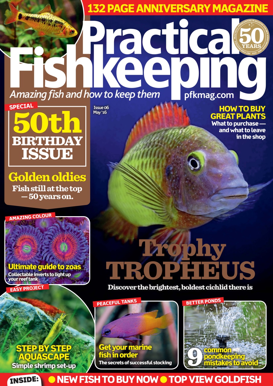 Practical Fishkeeping Preview Pages