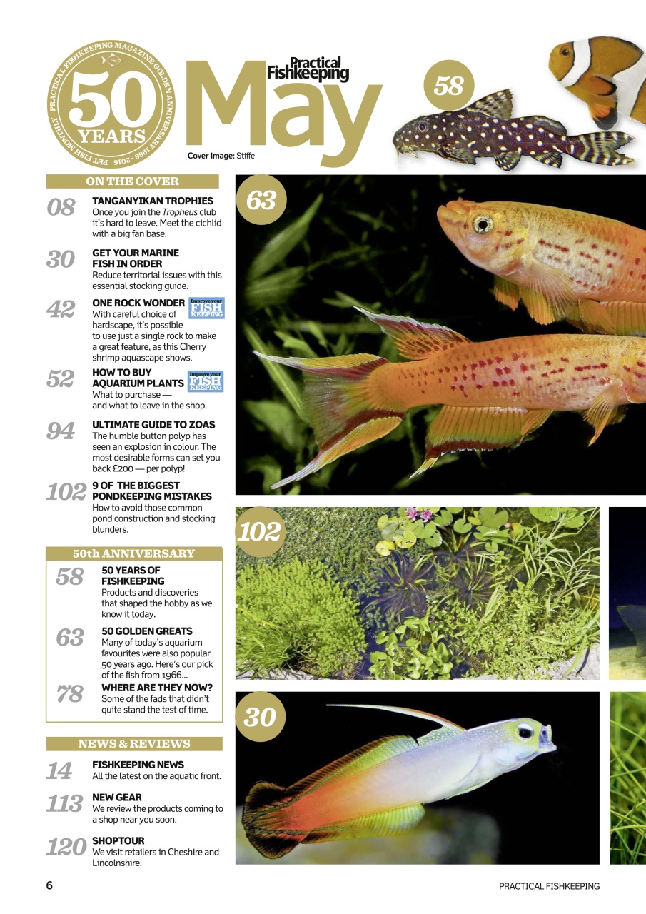 Practical Fishkeeping Preview Pages