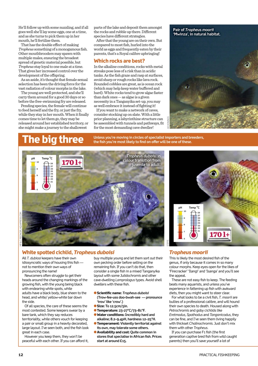 Practical Fishkeeping Preview Pages