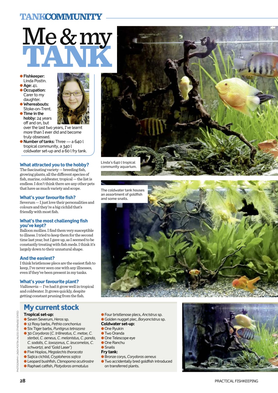 Practical Fishkeeping Preview Pages