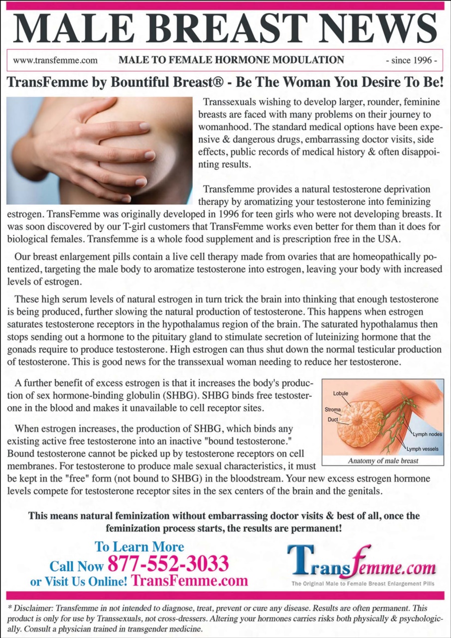 Frock Magazine Preview Pages