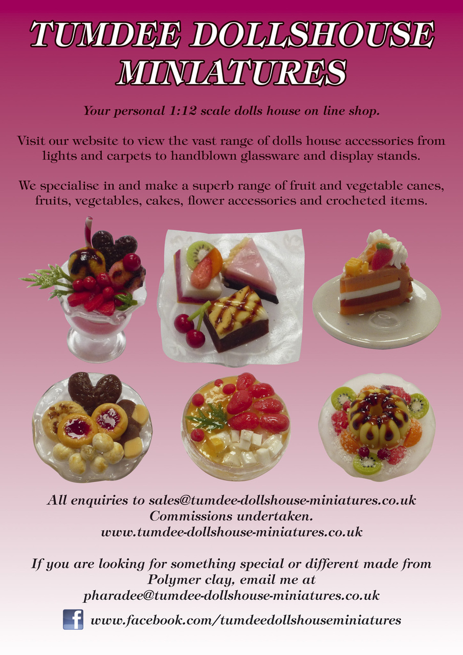 Dolls House Projects-Special Ed. Preview Pages