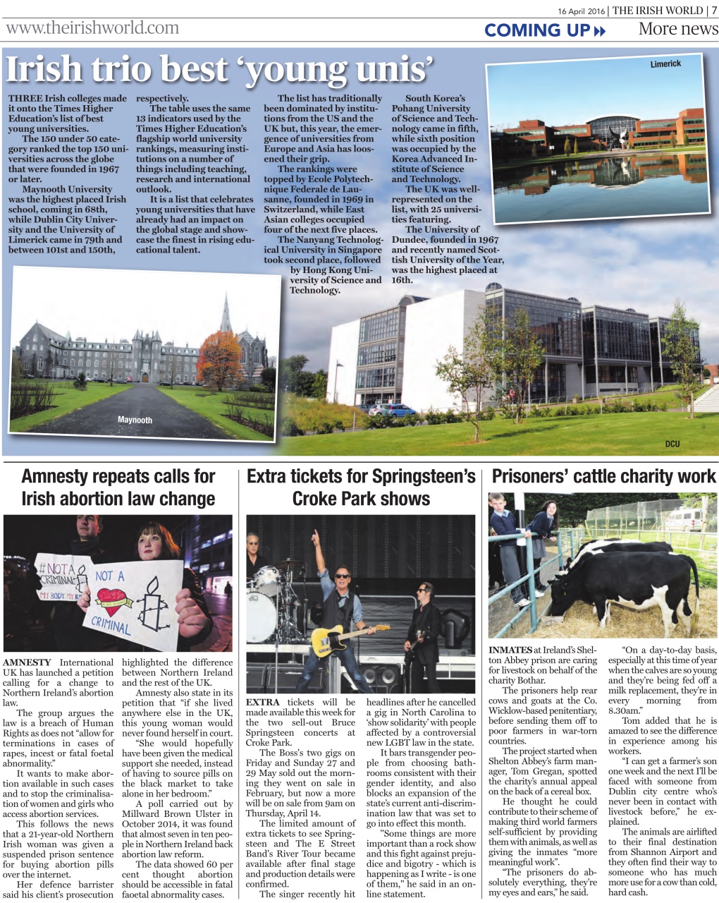 Irish World Preview Pages