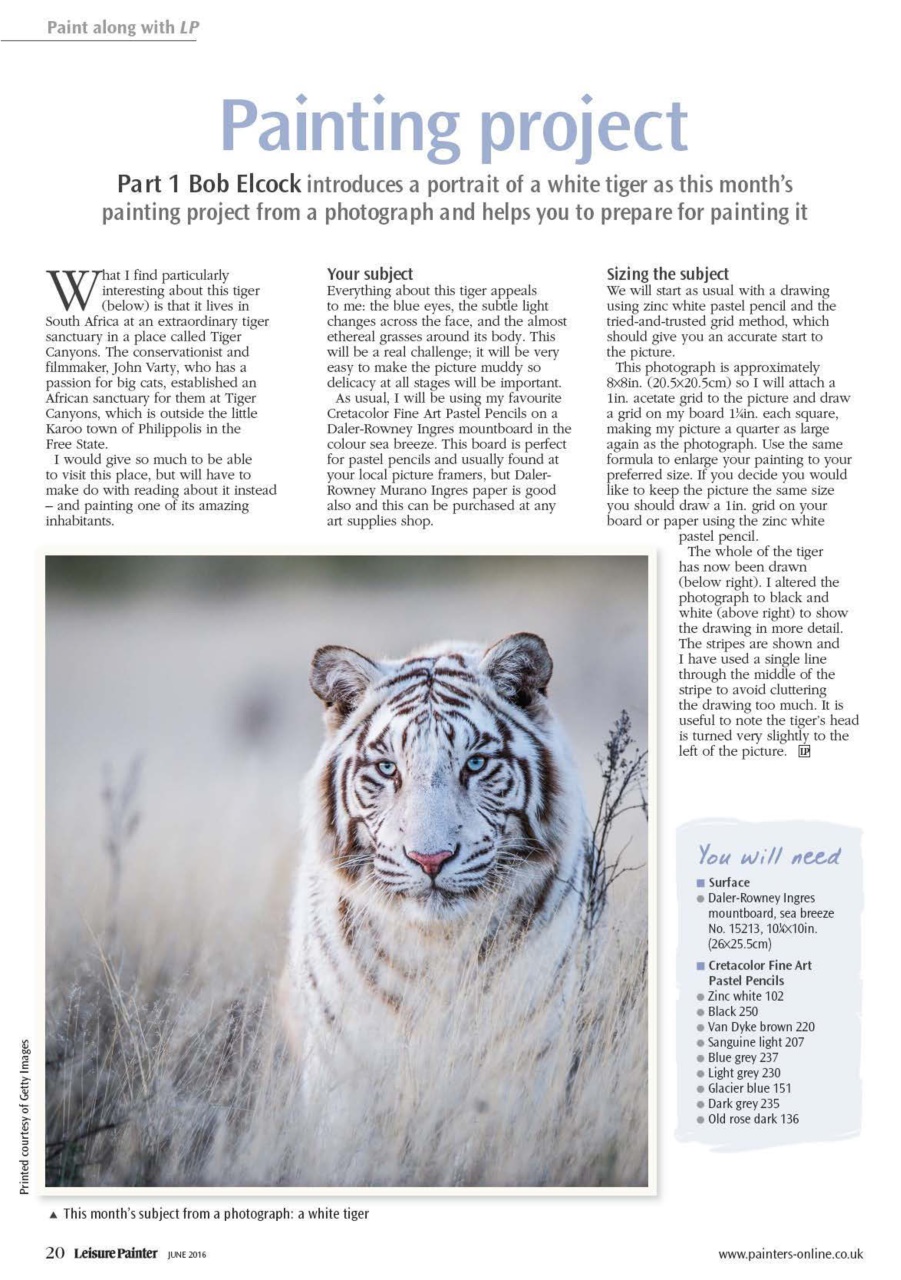 Leisure Painter & The Artist Preview Pages