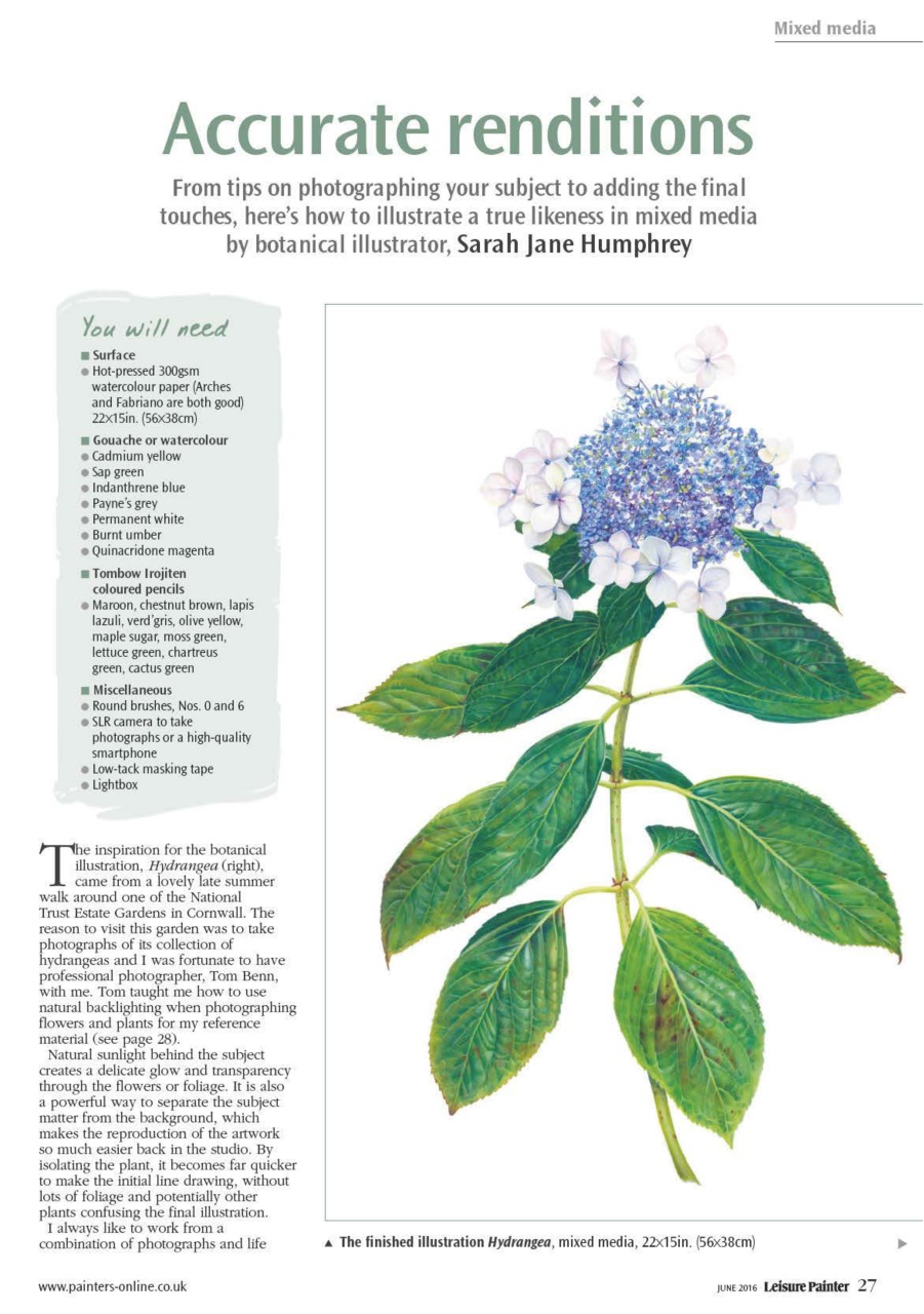 Leisure Painter & The Artist Preview Pages