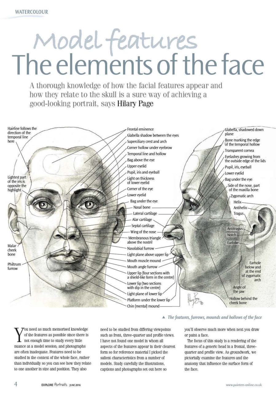 The Artist Preview Pages