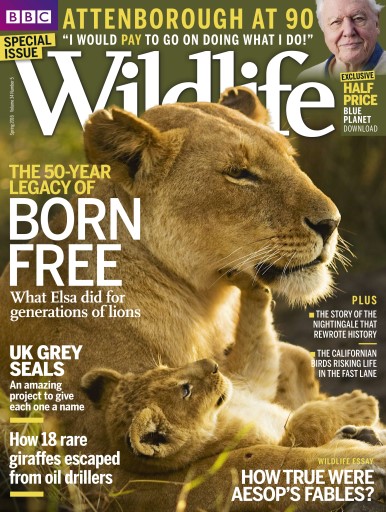 BBC Wildlife Magazine issue 