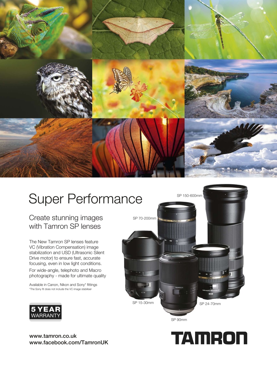 BBC Wildlife Magazine Preview Pages