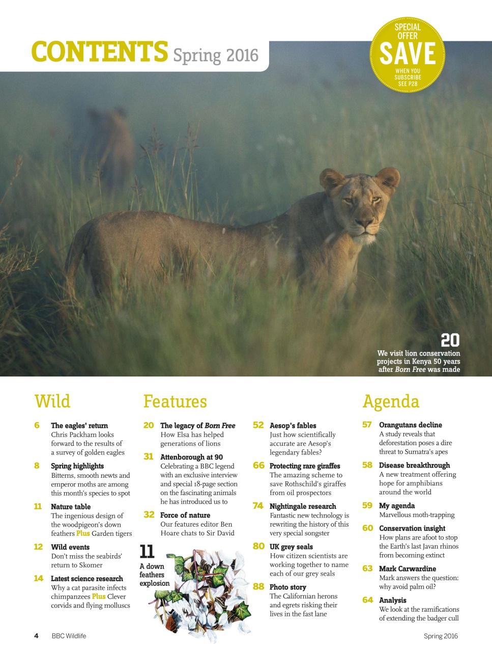 BBC Wildlife Magazine Preview Pages