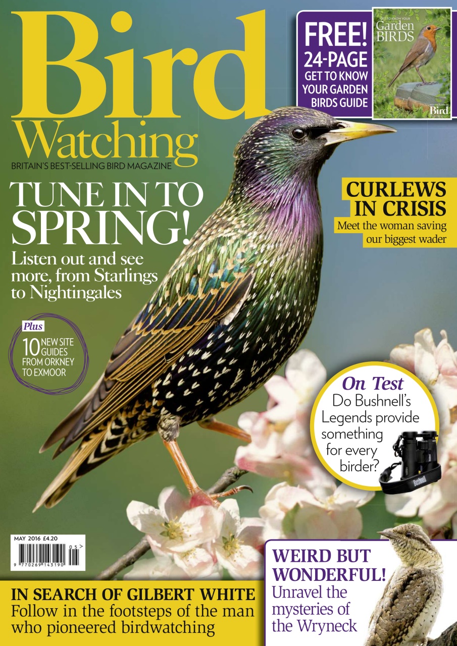 Bird Watching Preview Pages