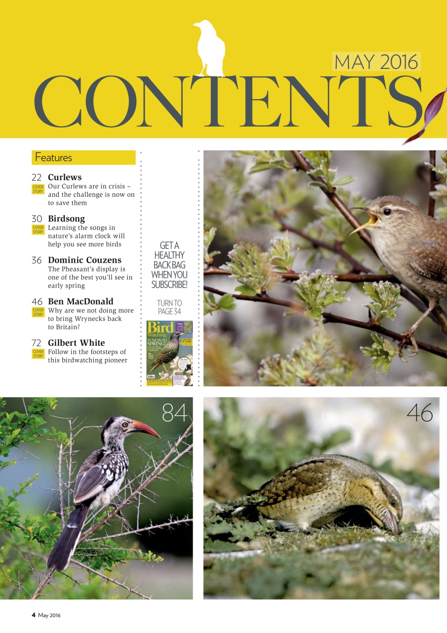 Bird Watching Preview Pages