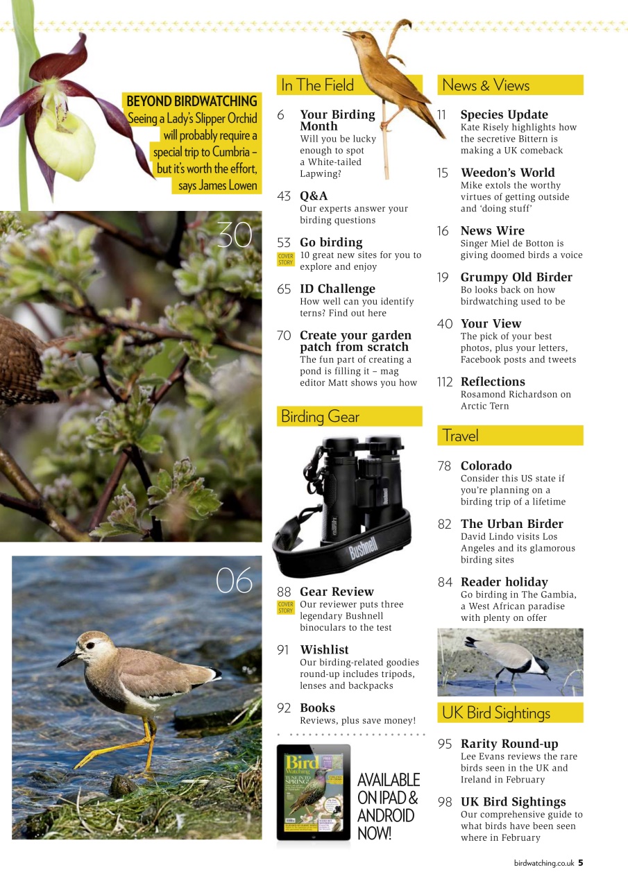 Bird Watching Preview Pages