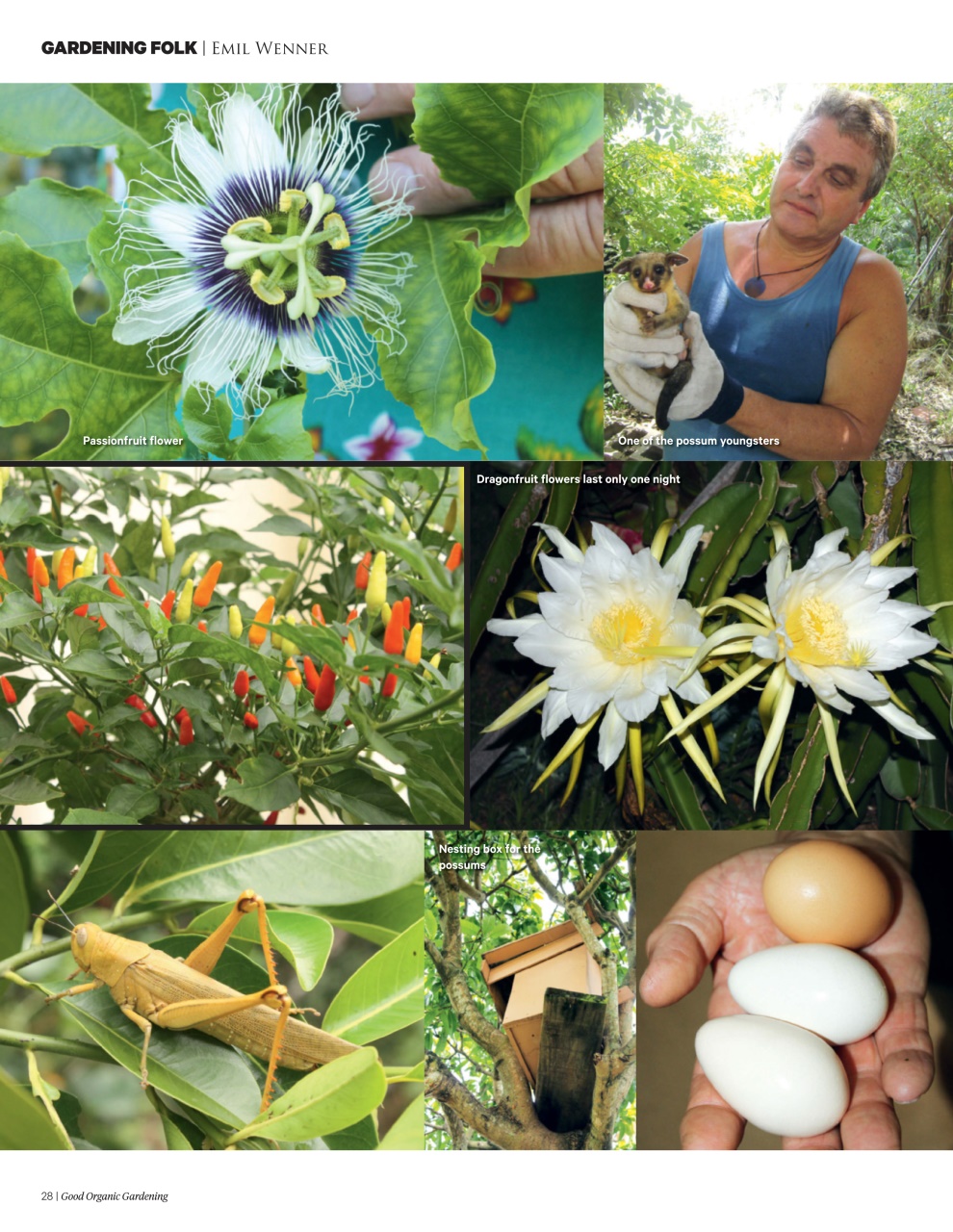 Good Organic Gardening Preview Pages