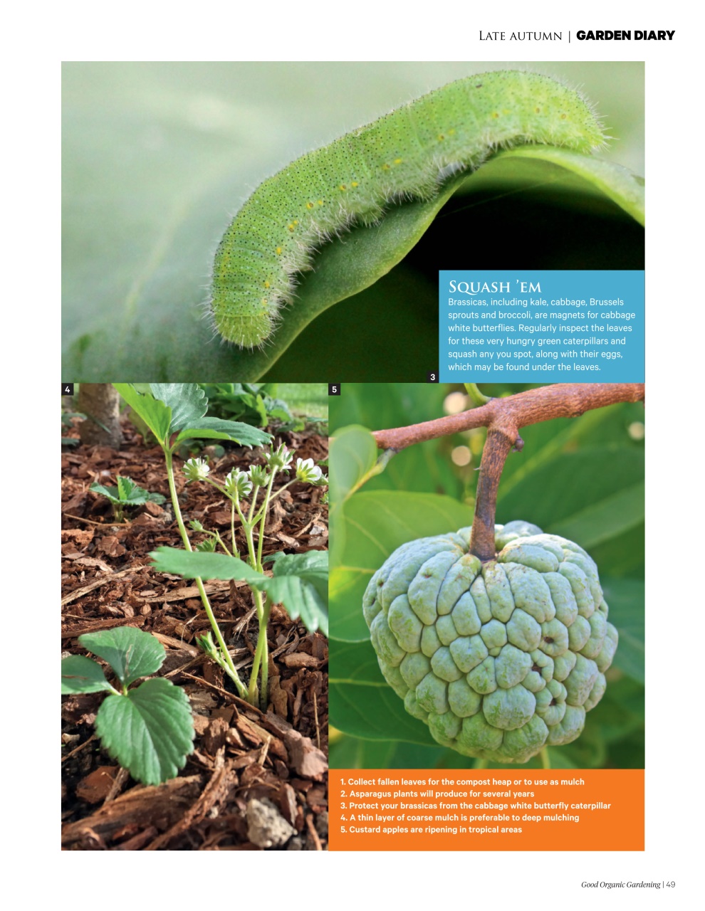 Good Organic Gardening Preview Pages