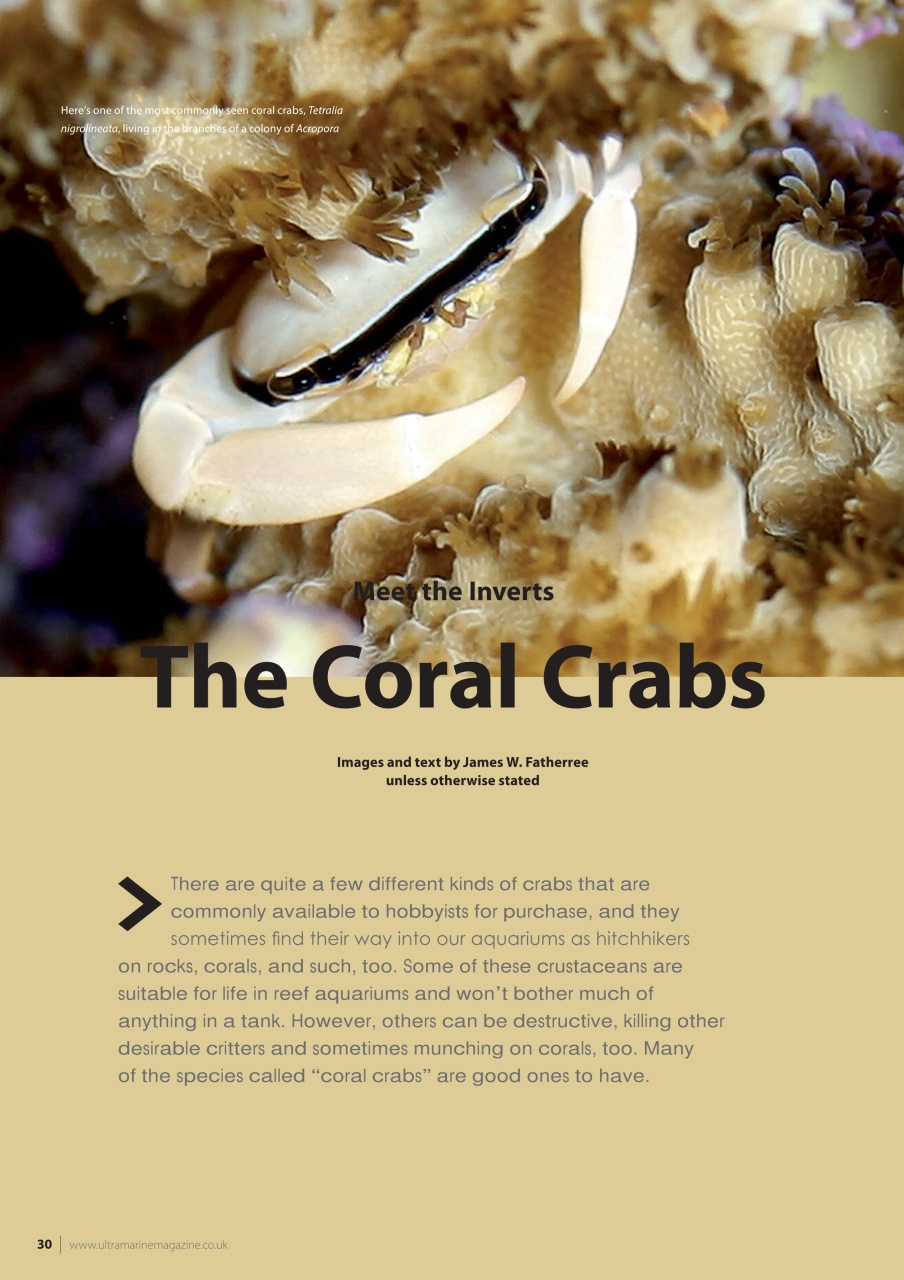 UltraMarine Magazine Preview Pages