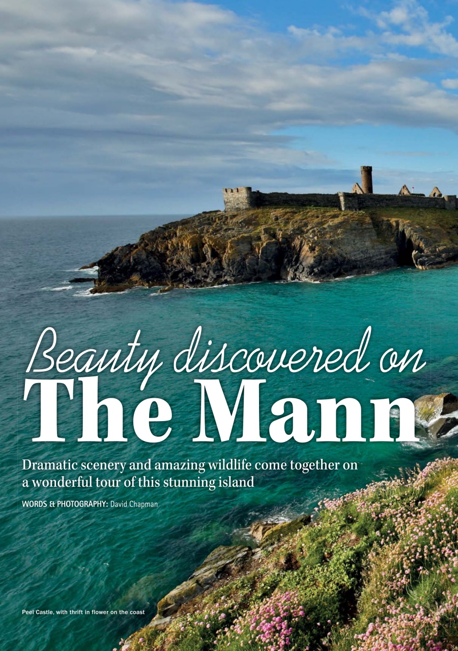 MMM magazine Preview Pages