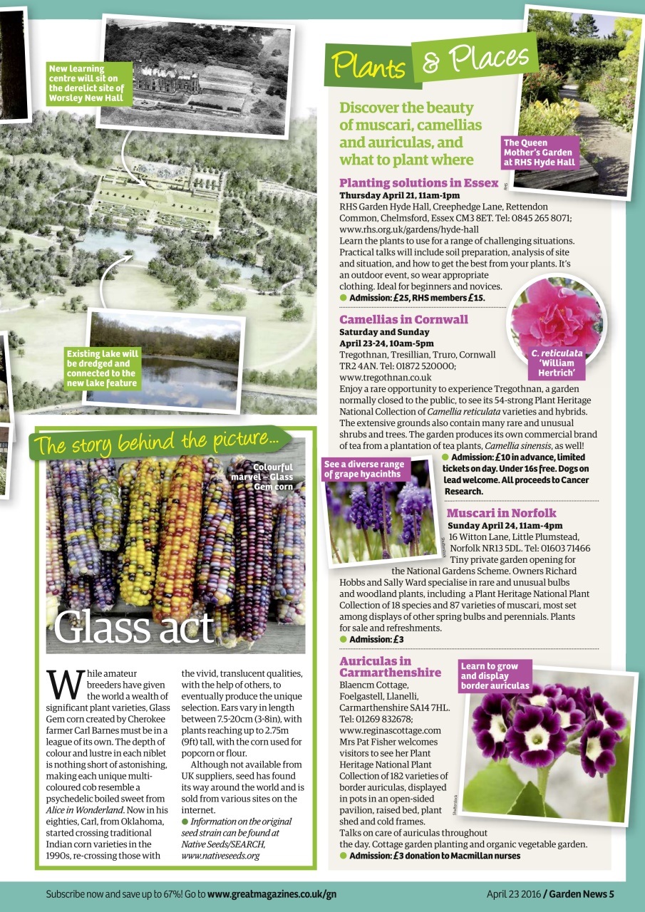 Garden News Preview Pages