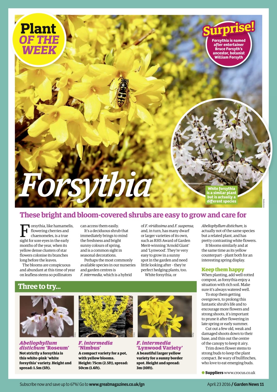 Garden News Preview Pages