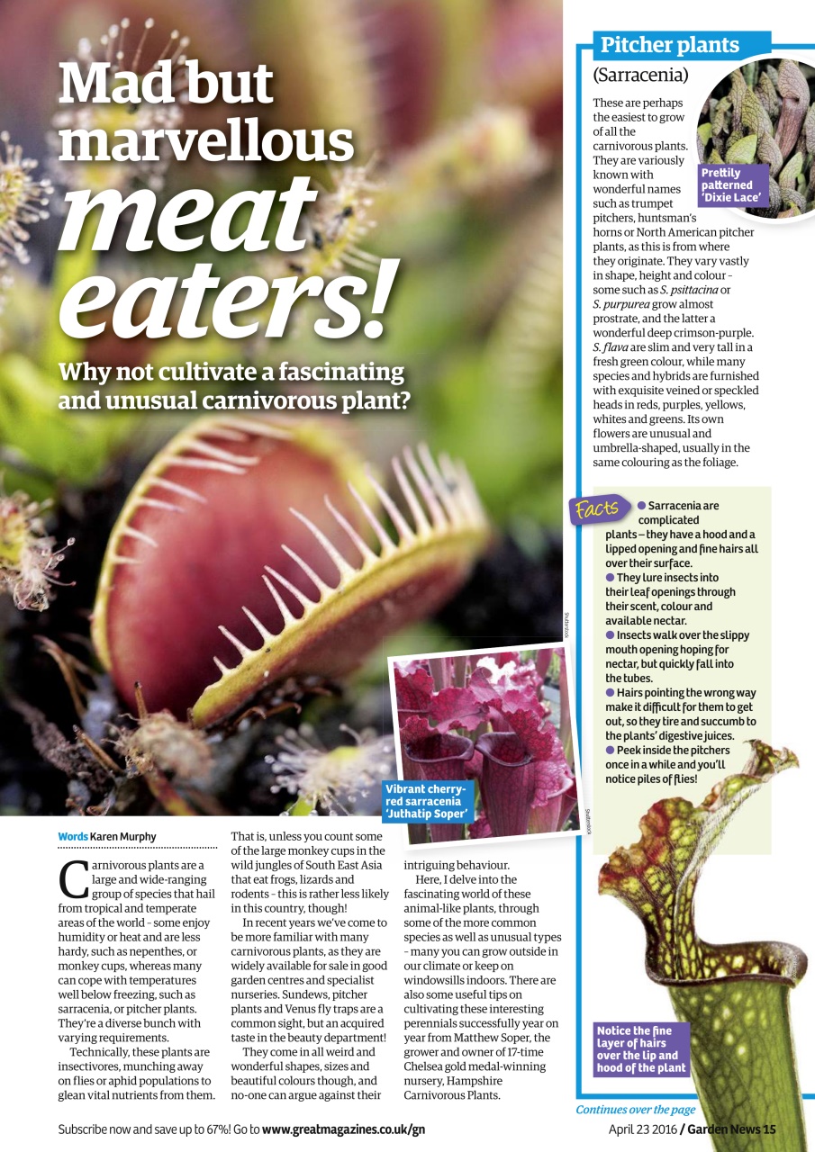 Garden News Preview Pages
