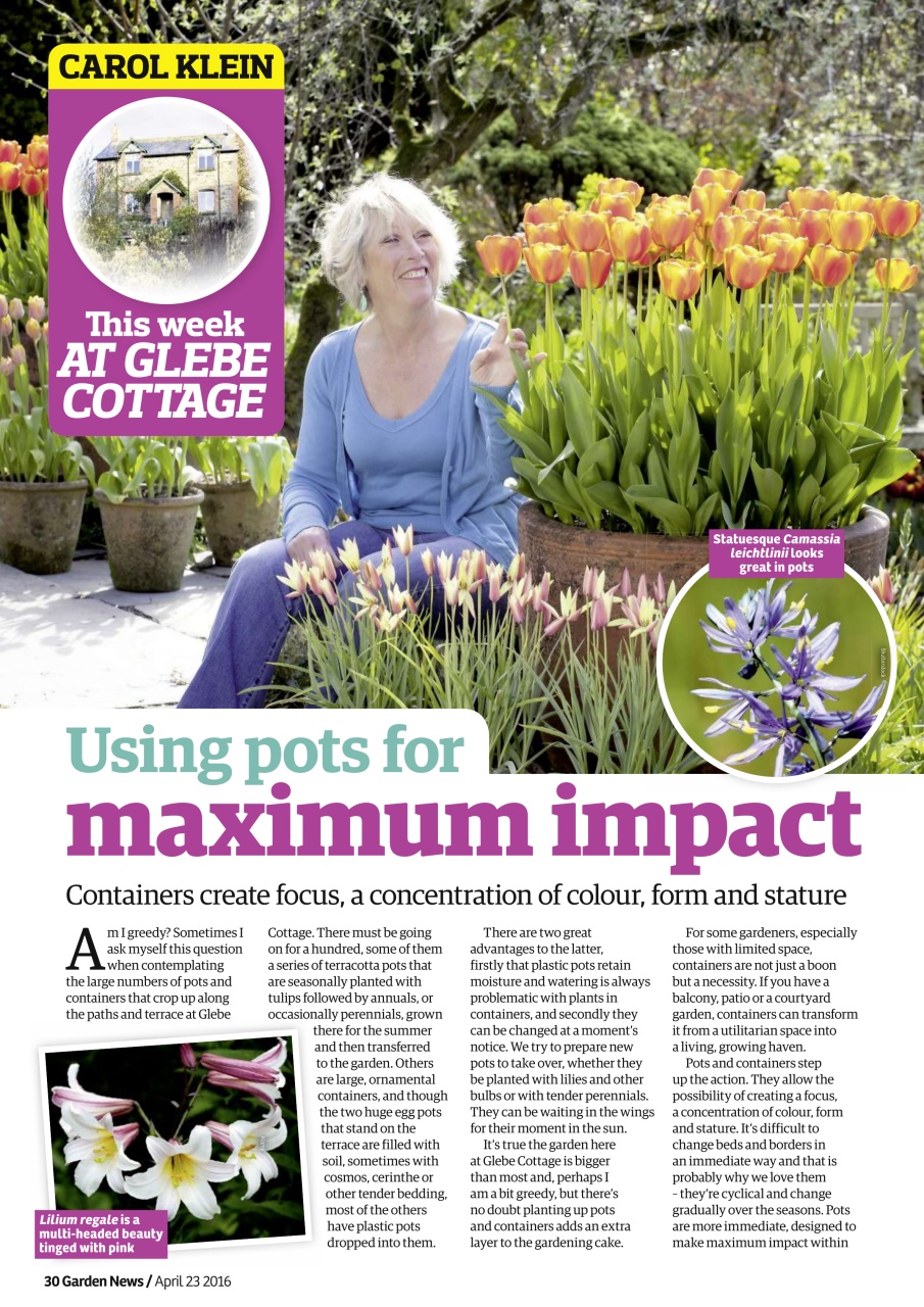 Garden News Preview Pages