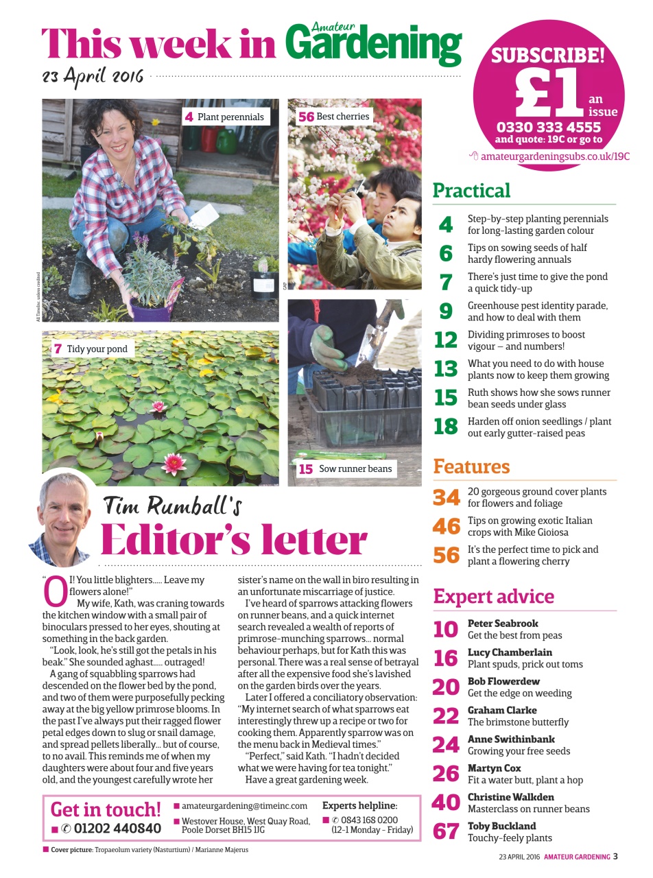 Amateur Gardening Preview Pages
