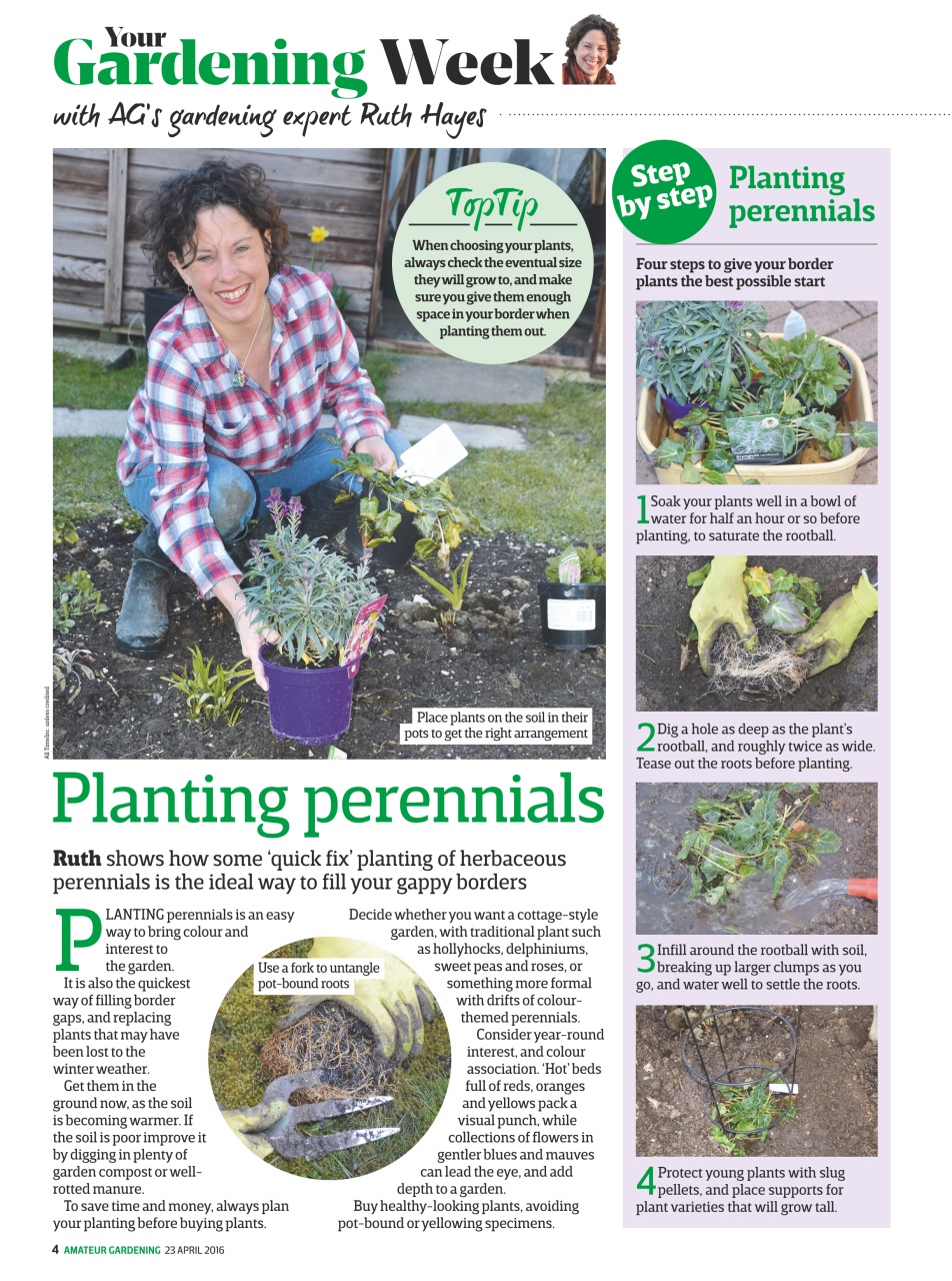 Amateur Gardening Preview Pages