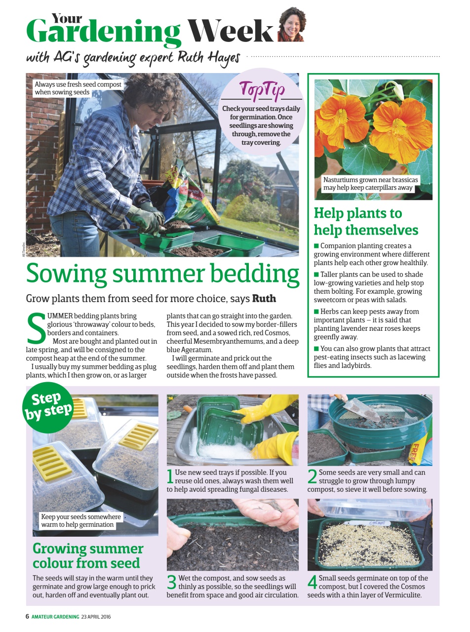 Amateur Gardening Preview Pages