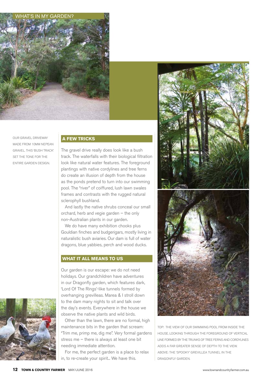 Town And Country Farmer Preview Pages