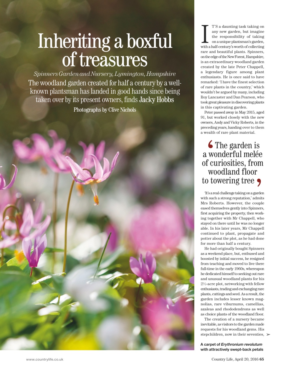 Country Life Preview Pages