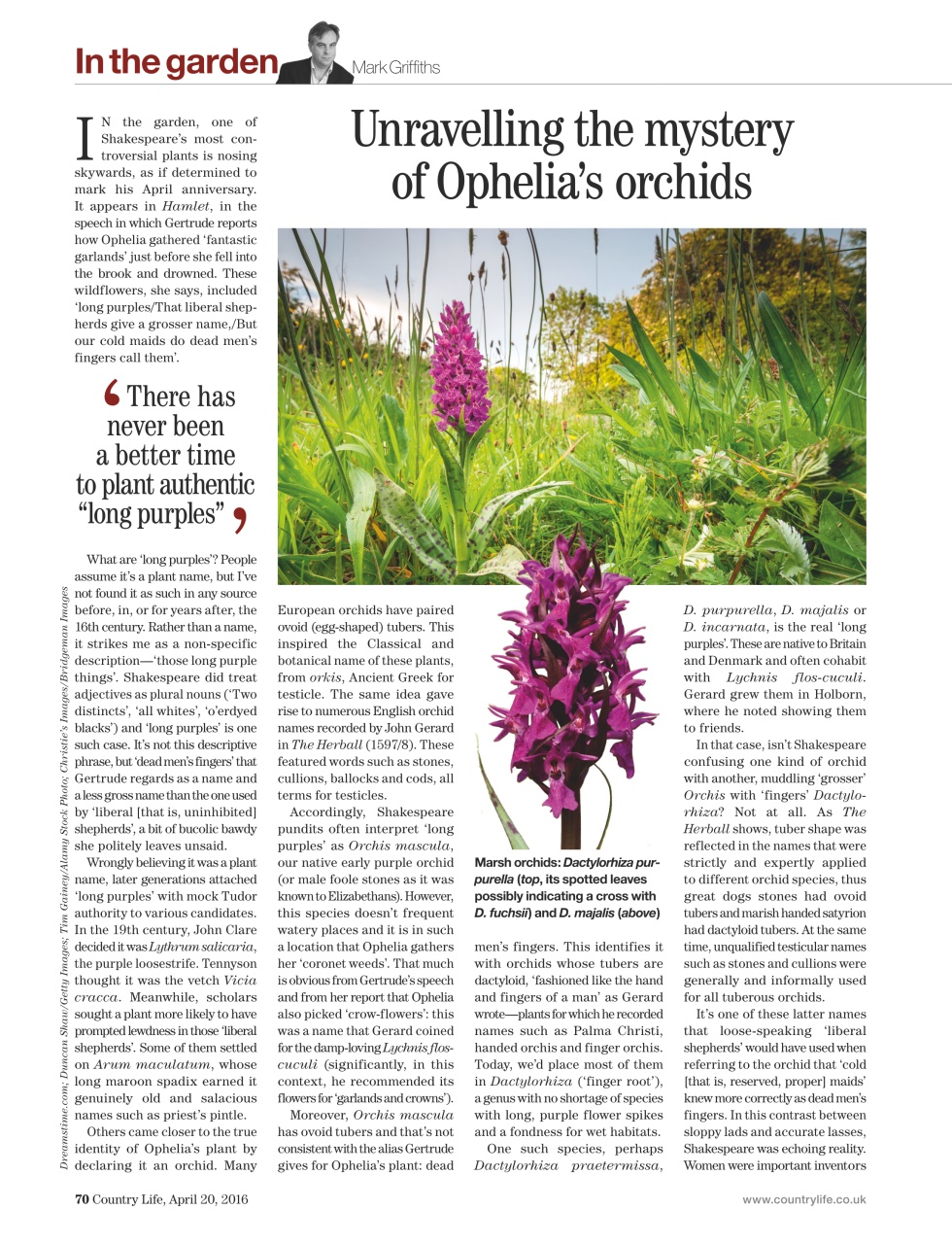 Country Life Preview Pages