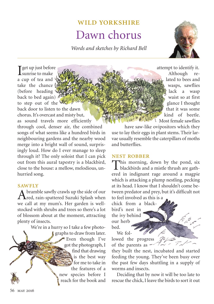 The Yorkshire Dalesman Preview Pages