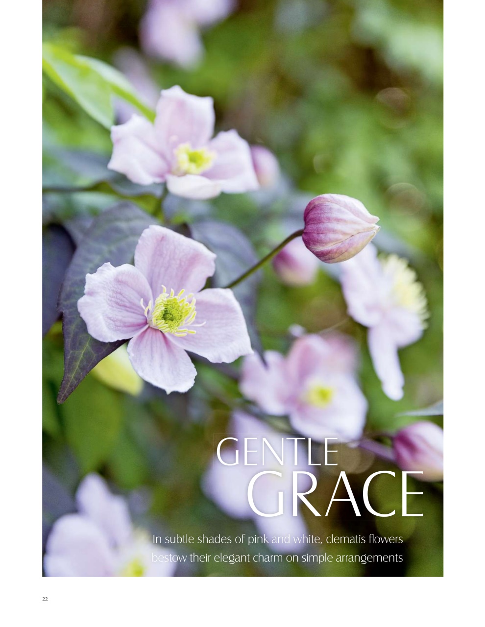 LandScape Preview Pages