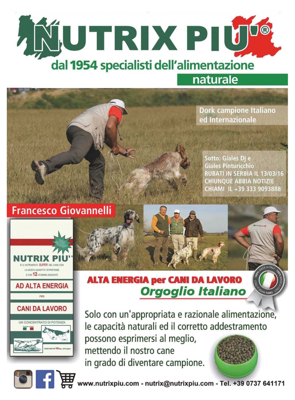 La Gazzetta Della Cinofilia Venatoria Preview Pages