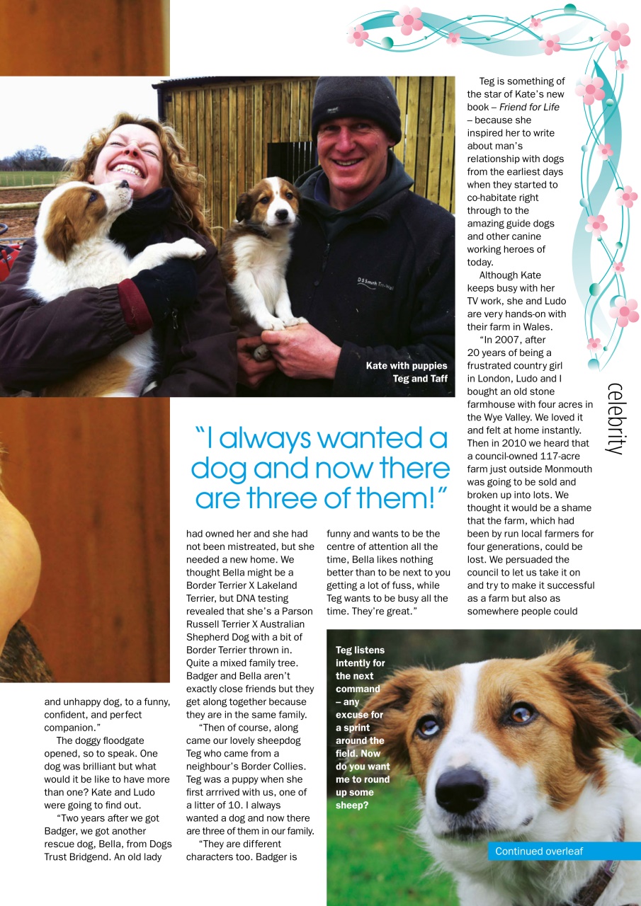 My Weekly Special Preview Pages