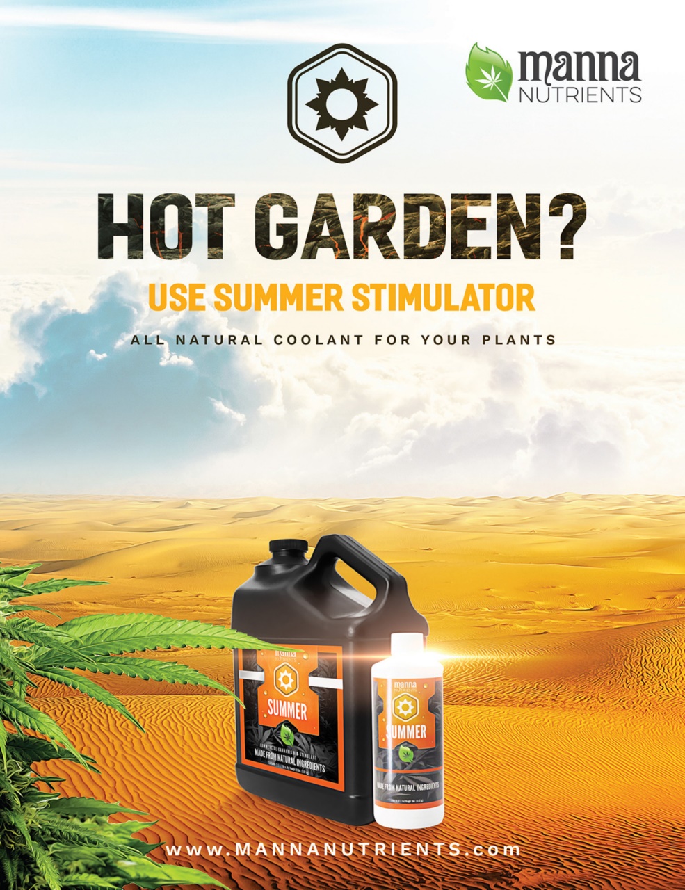 Cannabis Now Preview Pages