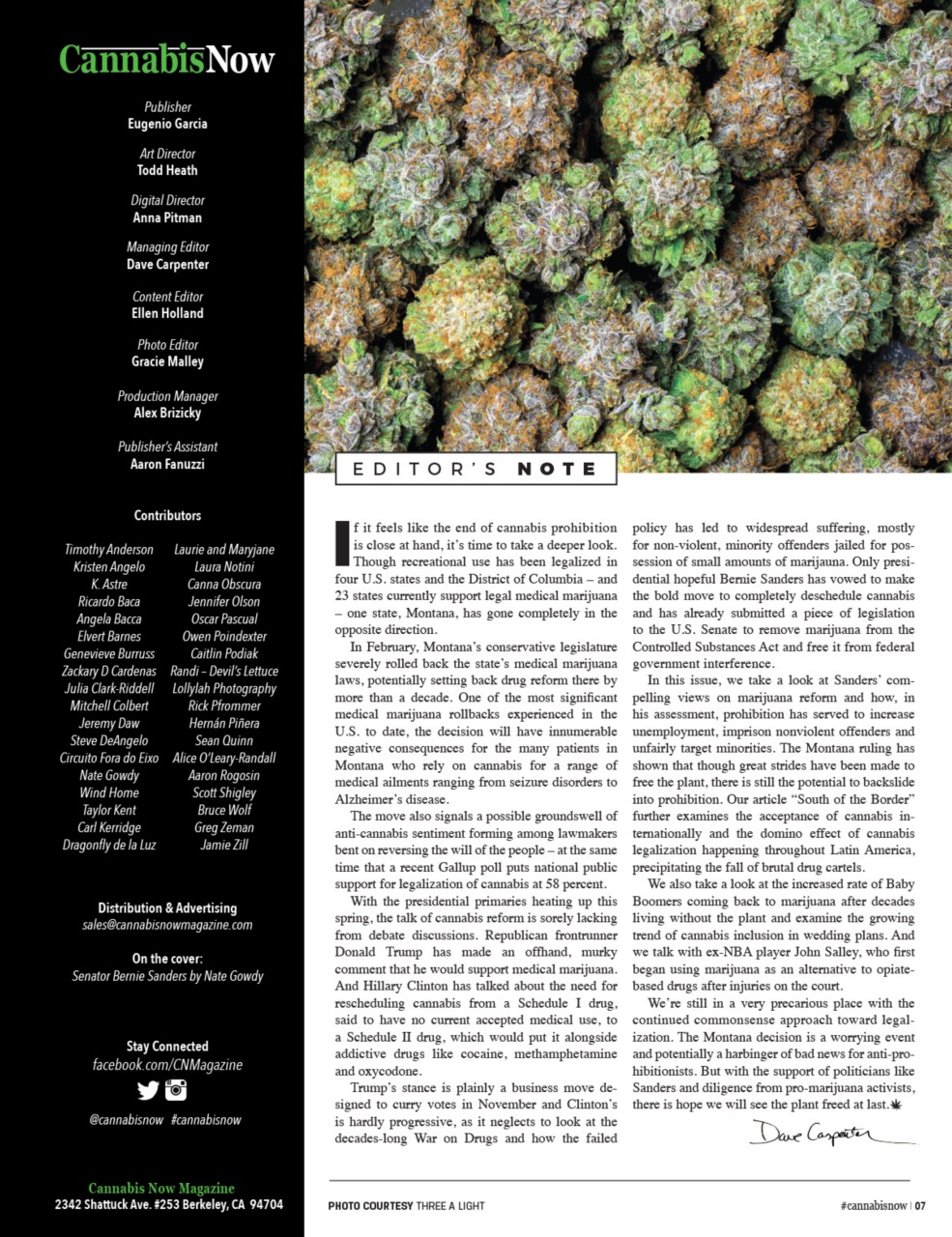 Cannabis Now Preview Pages
