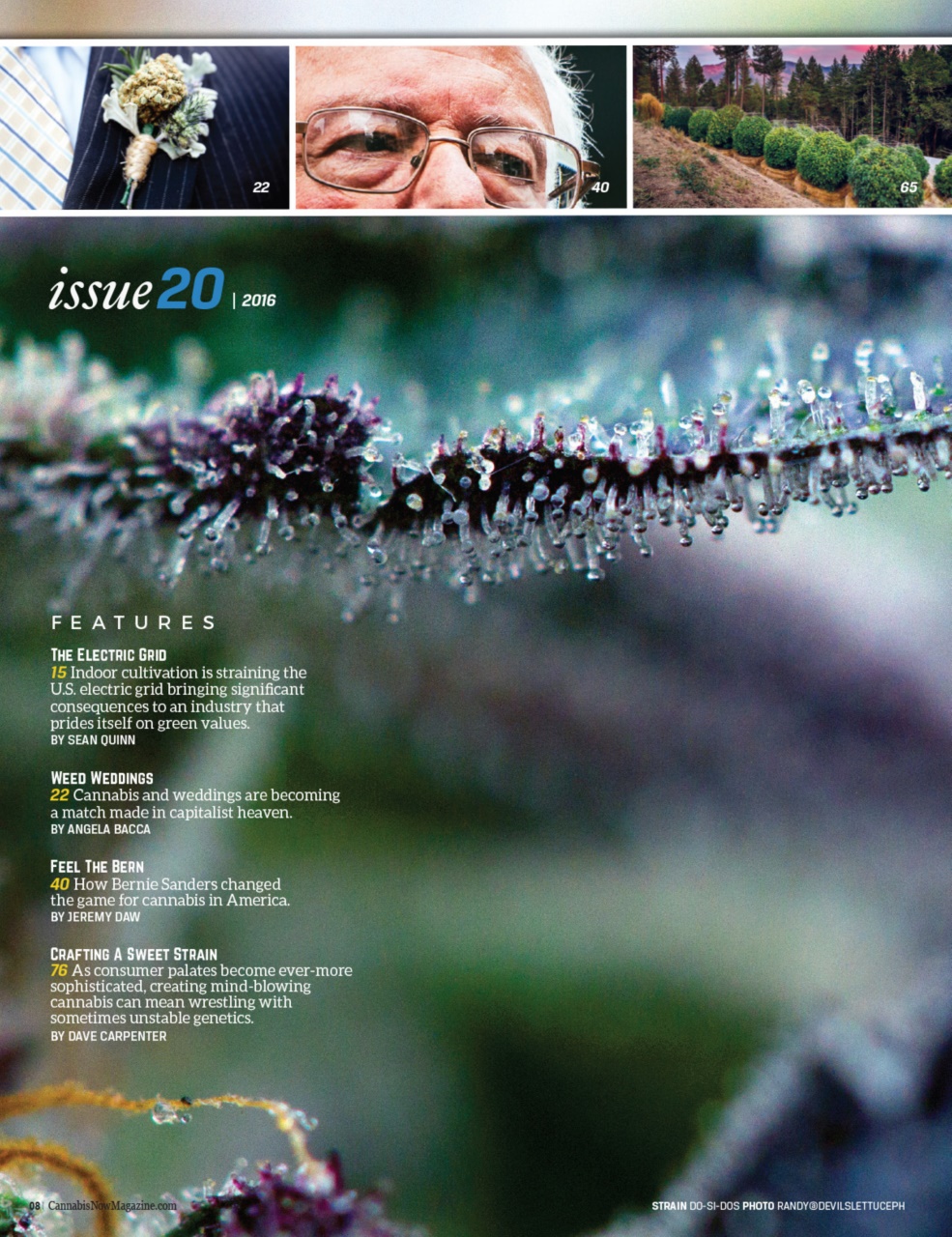 Cannabis Now Preview Pages