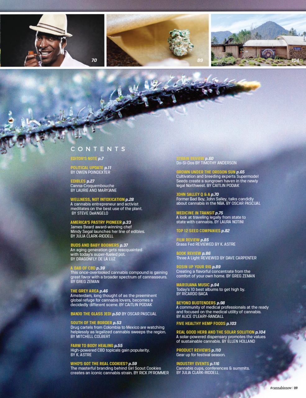 Cannabis Now Preview Pages