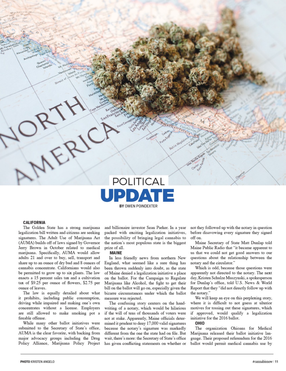 Cannabis Now Preview Pages