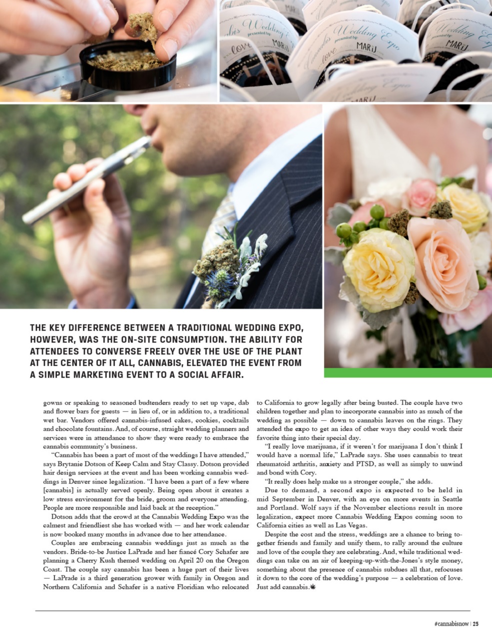 Cannabis Now Preview Pages