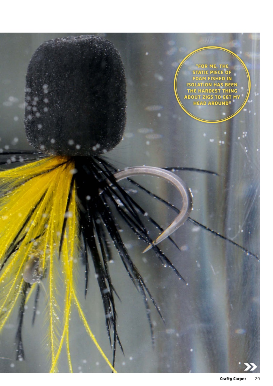 Crafty Carper Preview Pages