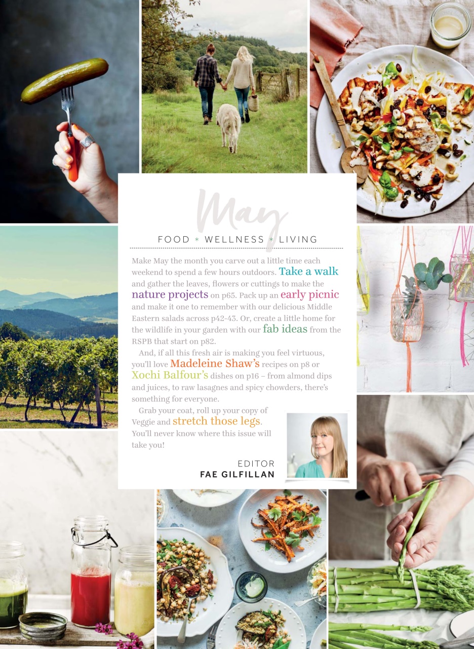 Veggie Magazine Preview Pages