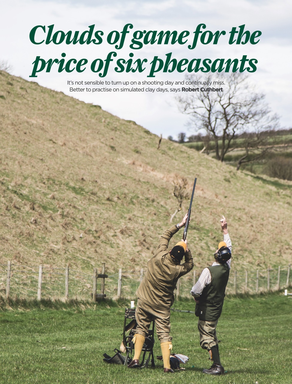 The Field Preview Pages