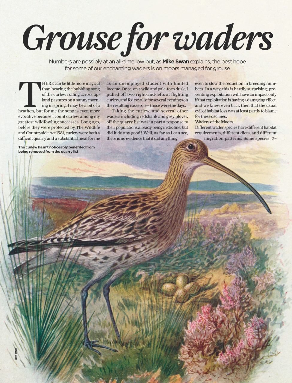 The Field Preview Pages