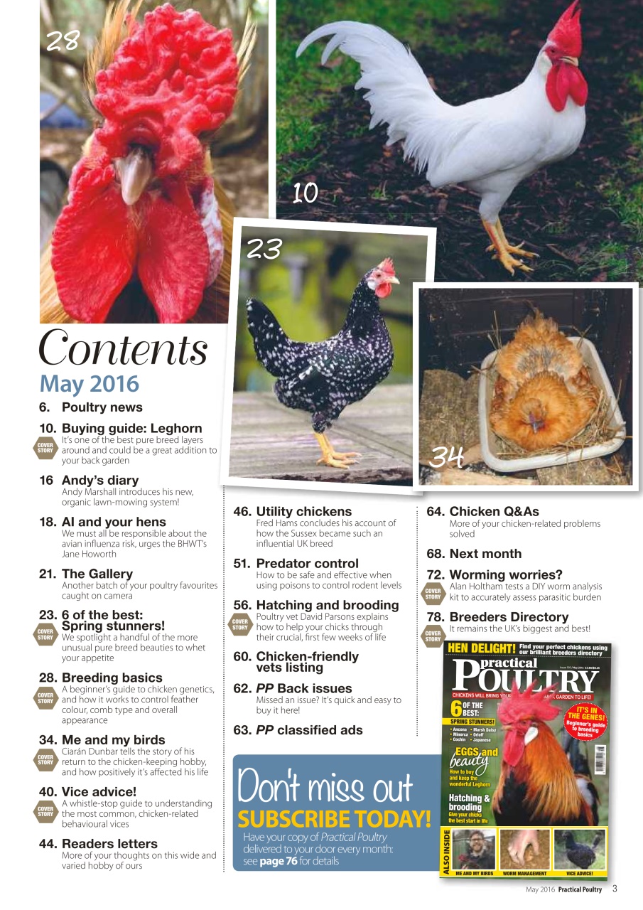 Practical Poultry Preview Pages