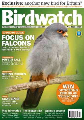 Birdwatch Magazine issue May 2016