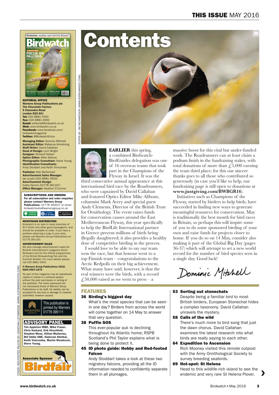 Birdwatch Magazine Preview Pages